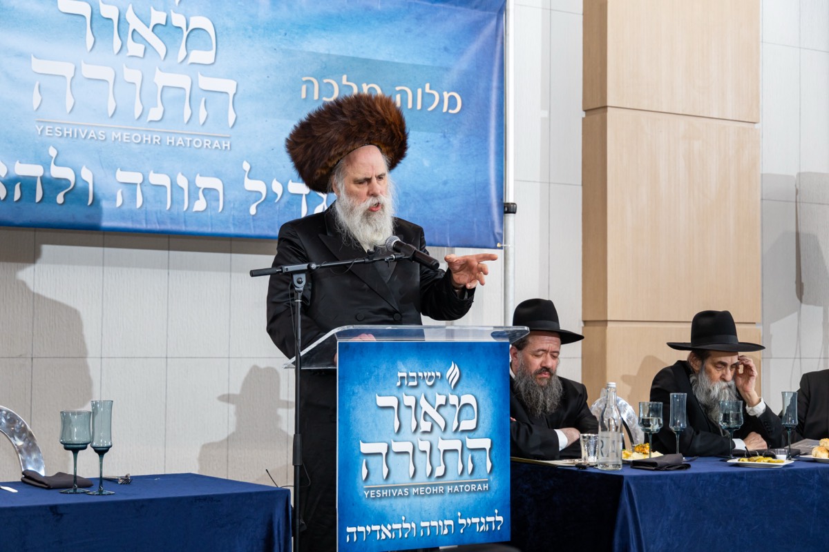 Melaveh Malkah dinner photo 4