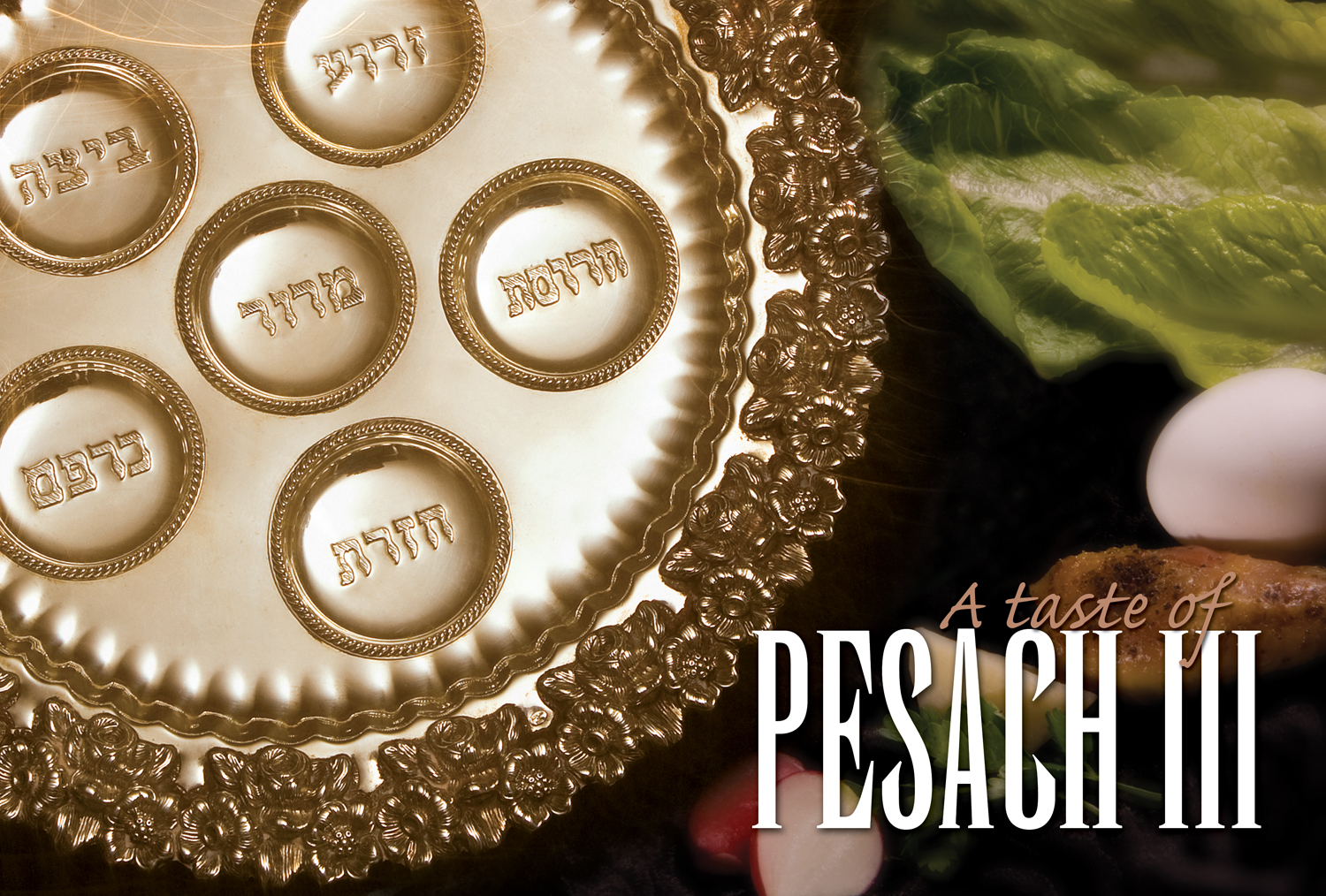 A Taste of Pesach Cookbook 3